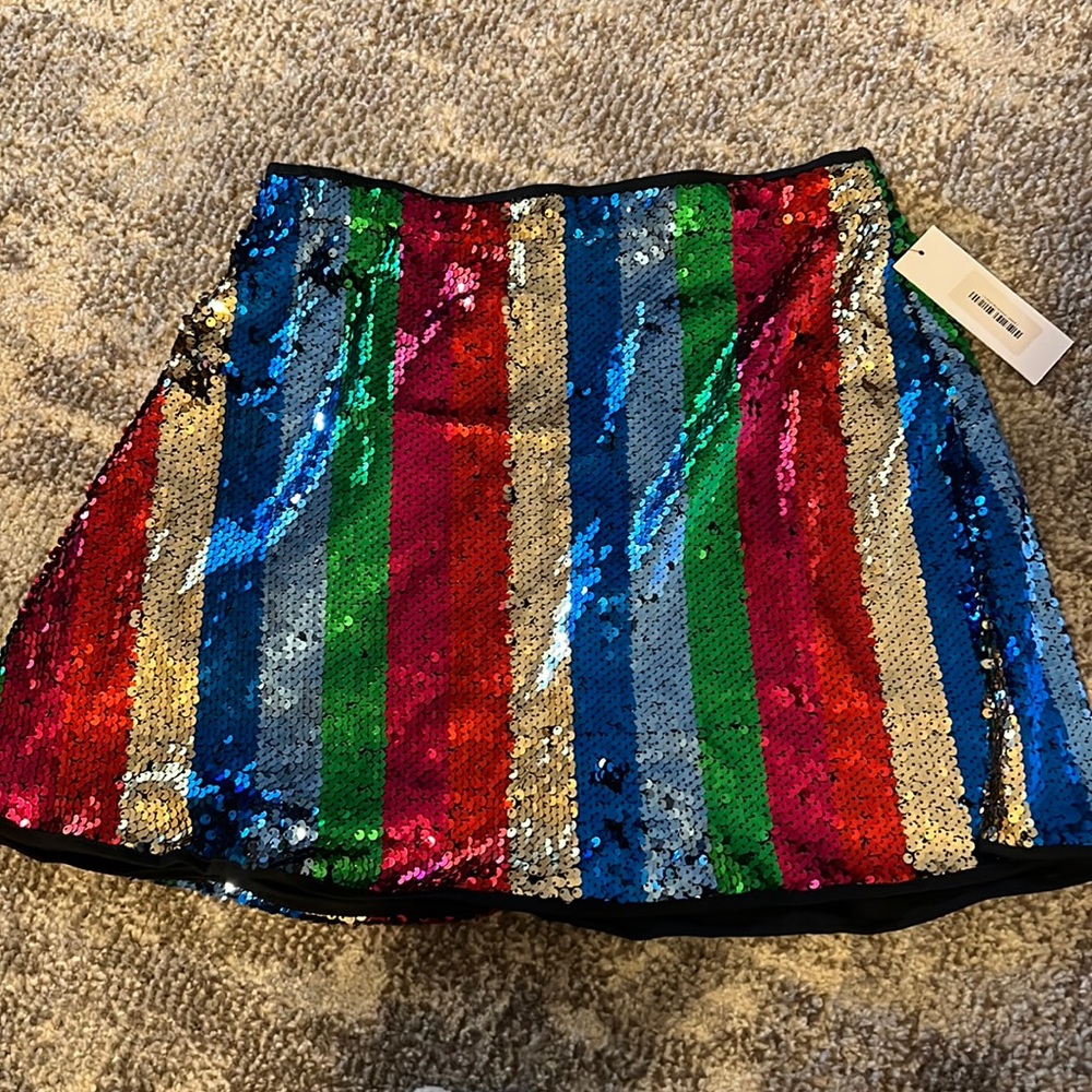 Size Large Sequin Skirt